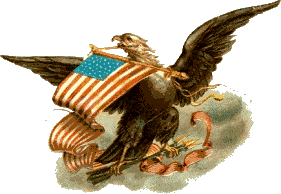 Eagle with flag
