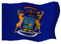 Michigan flag
