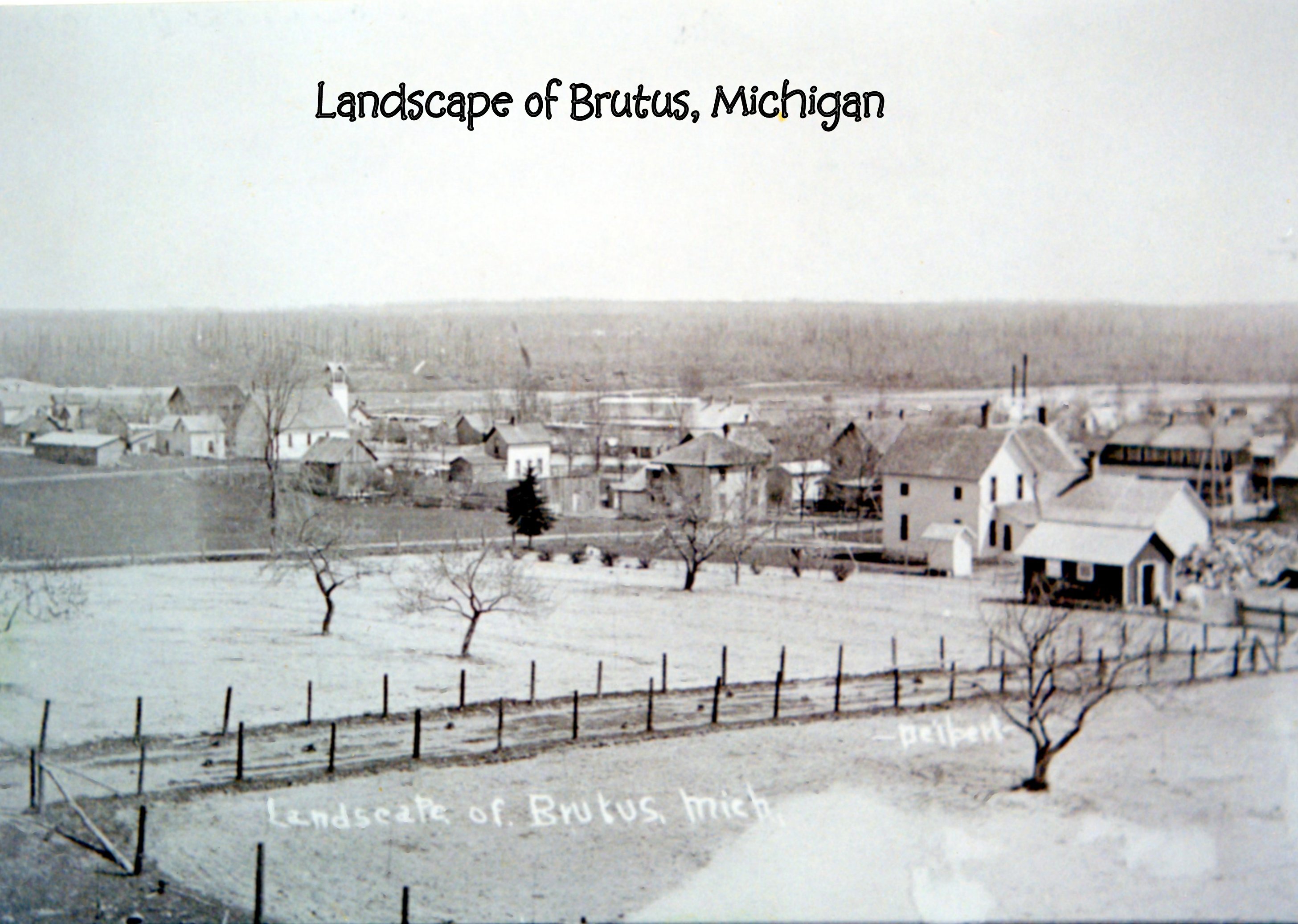 Landscape of Brutus, Michigan