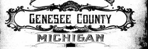 Michigan Genealogy Group