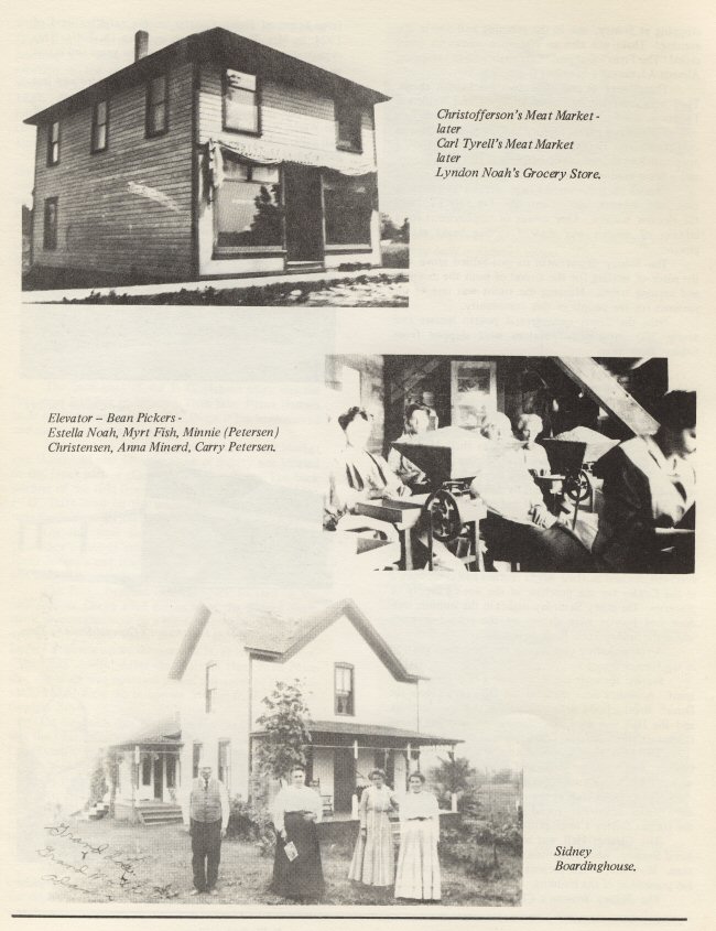 The History of Sidney, Michigan