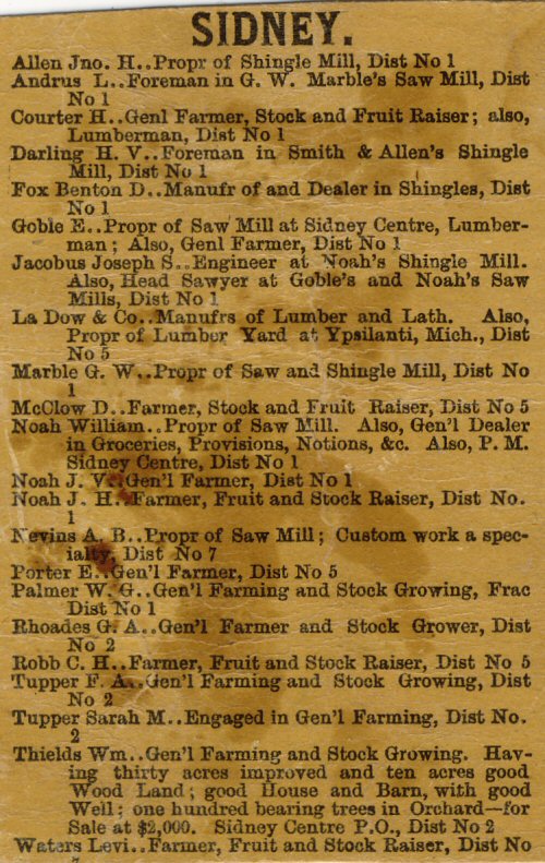 1875 Sidney Township Directory