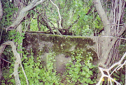 Unknown Cemetery (Section 28, J. Drive South)