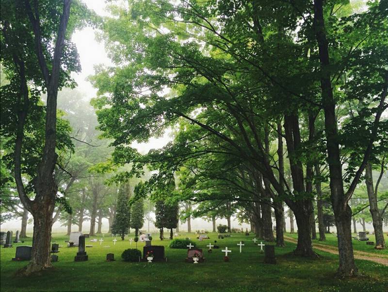 Norwood Lakeside Cemetery overview