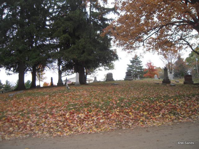 Whigville Cemetery overview
