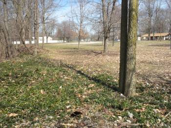 Old Hudson Cemetery Overview