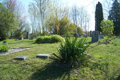 Eaton Cemetery Overview