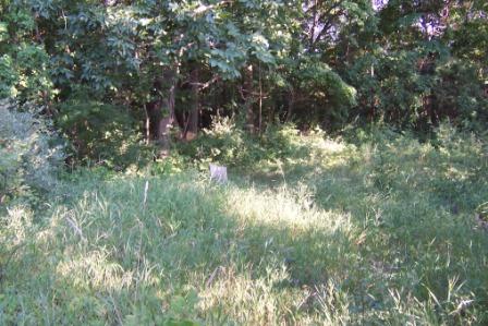 Loveland Cemetery overview