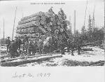 lumbermen2.jpg (4534 bytes)