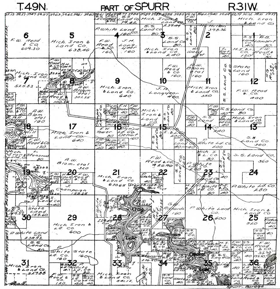 Part of Spurr Township T49N R31W