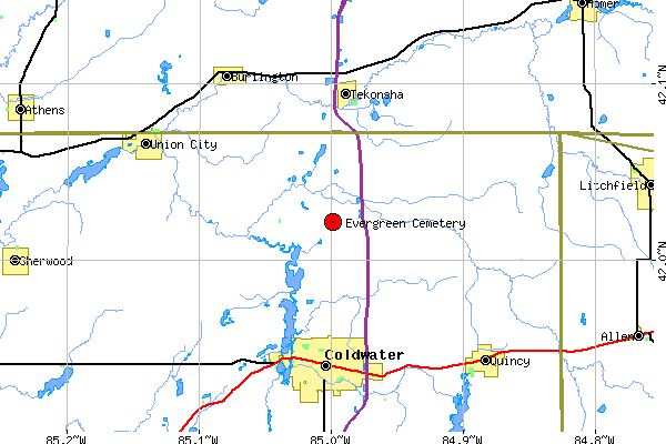 Evergreen general.gif (16153 bytes)