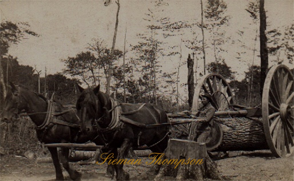 Sawmill