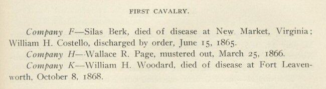 Montcalm County in the Civil War by John W. Dasef