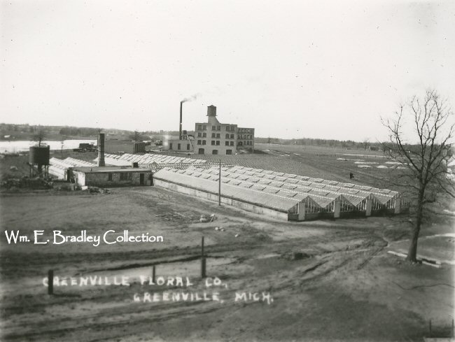 Greenville Floral