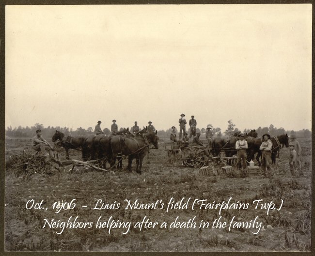 Louis Mount Farm
