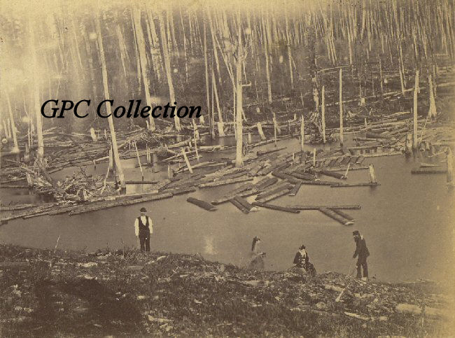 Logging