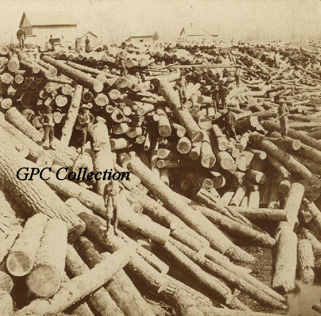 Logging