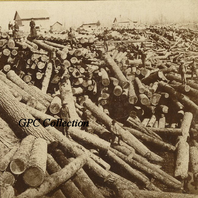Logging