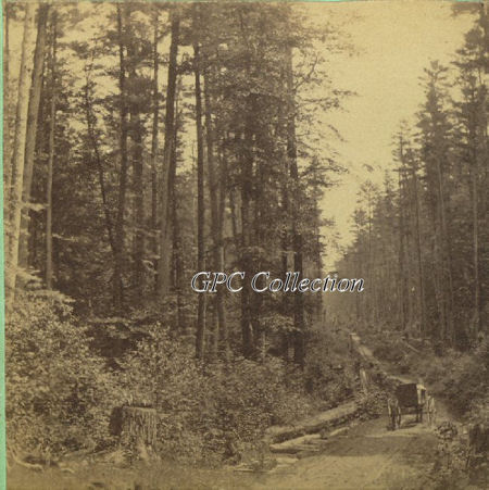 Logging