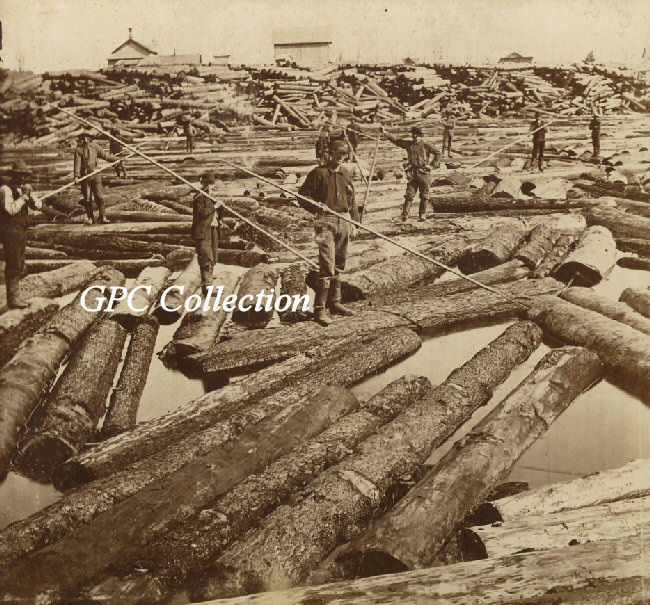 Logging