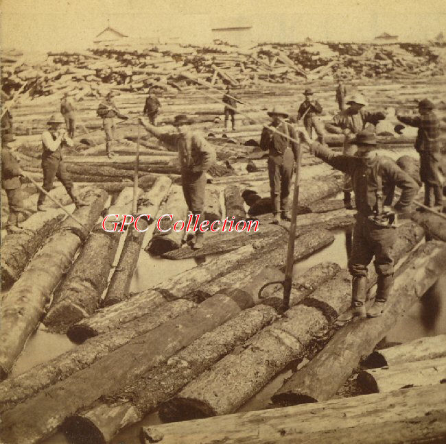 Logging