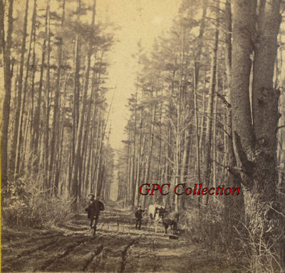 Logging
