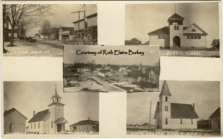 Sidney, MI