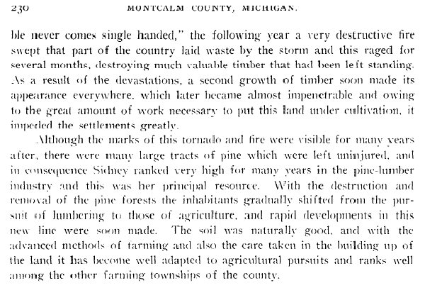 Sidney Twp History