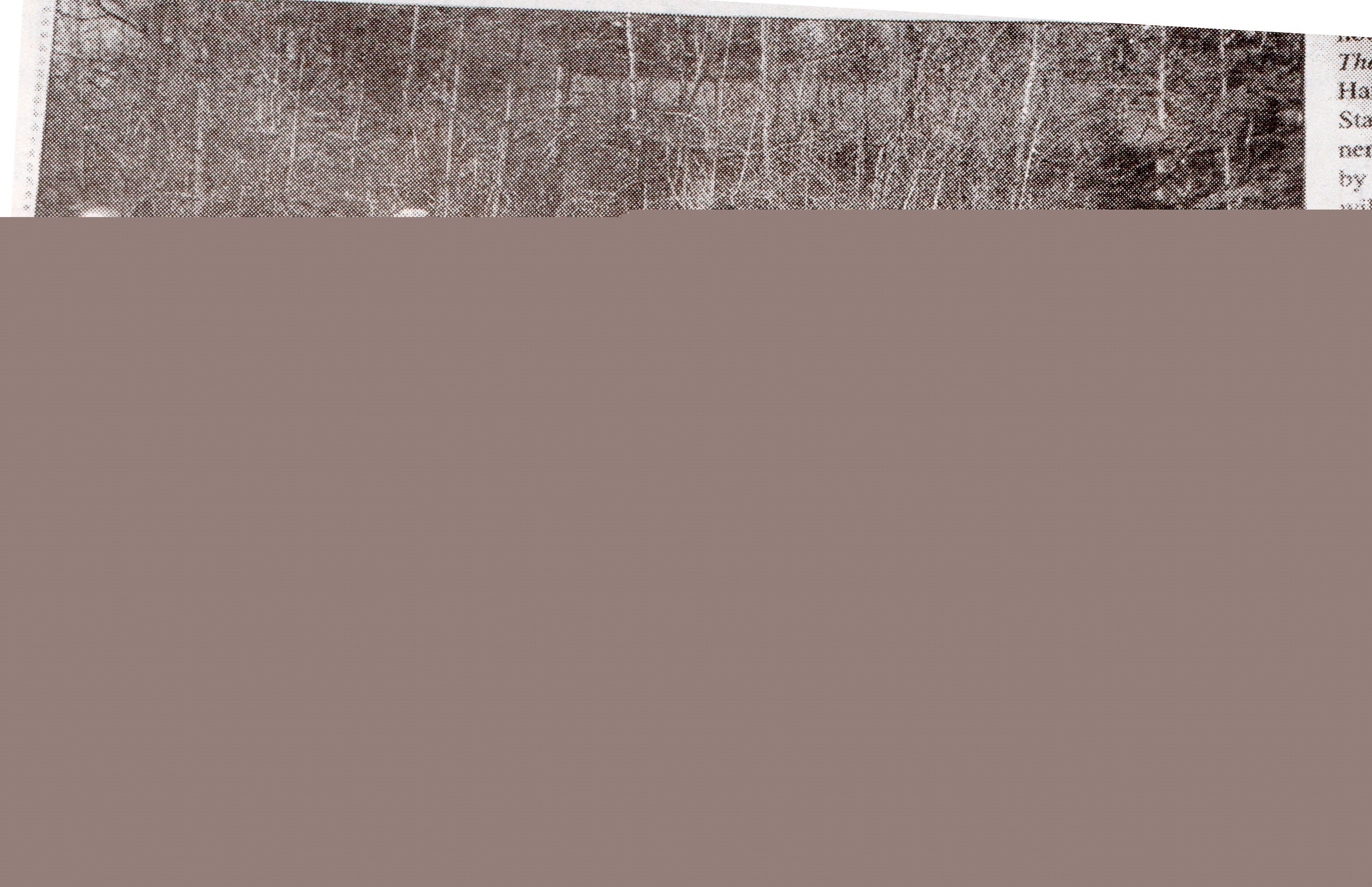 width="800"