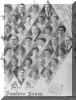 phhs1907r.jpg (566182 bytes)
