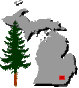Washtenaw MIGenWeb icon