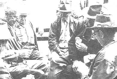 cards.jpg (40200 bytes)