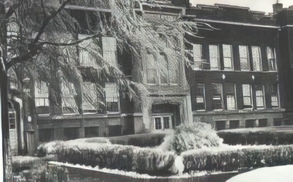 hamhigh.jpg (23689 bytes)
